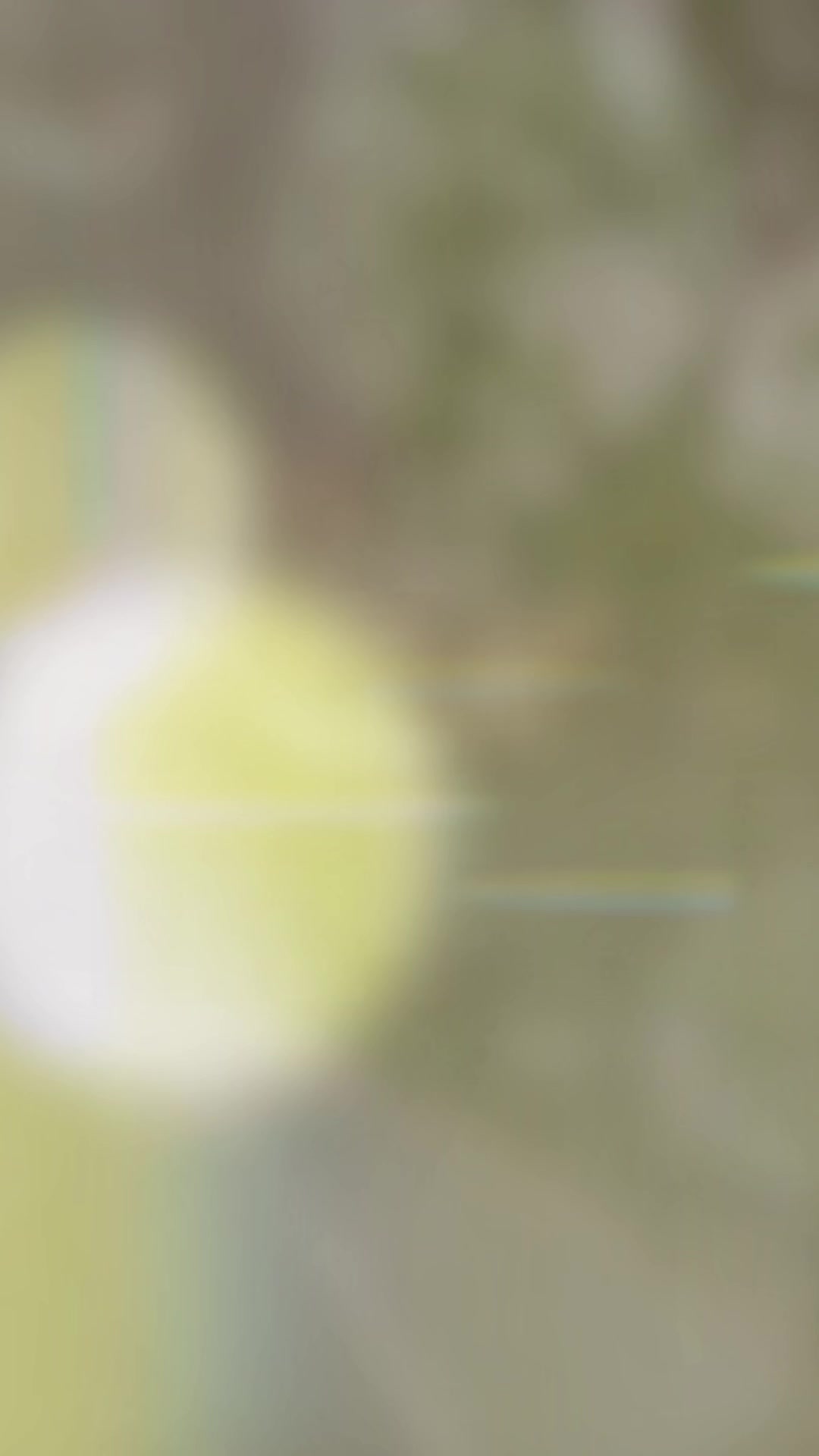 @C E K _ N I S