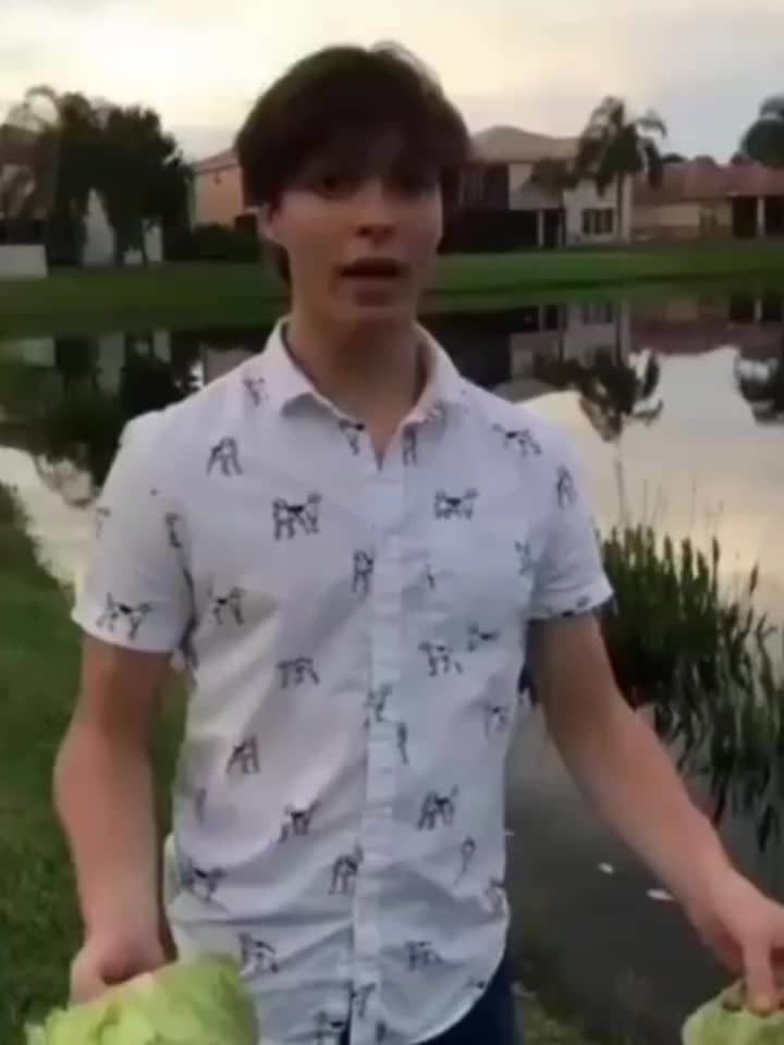 @kitty