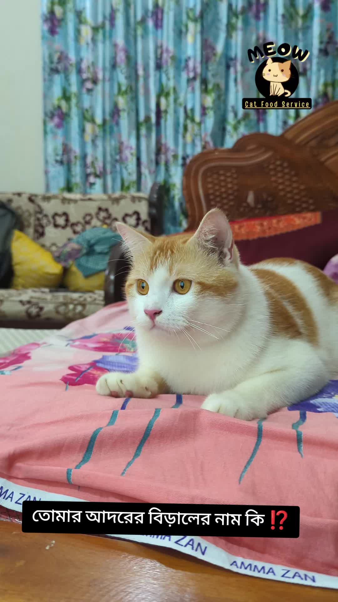 @Mitthi the Meow Meow