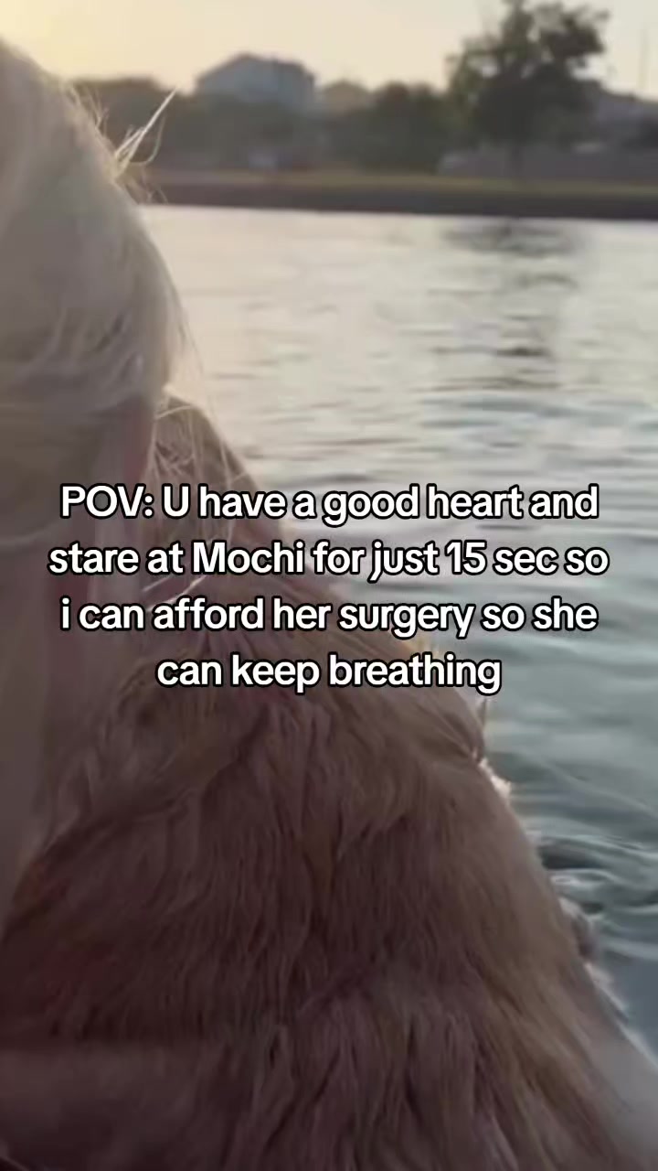 @janedoect01
