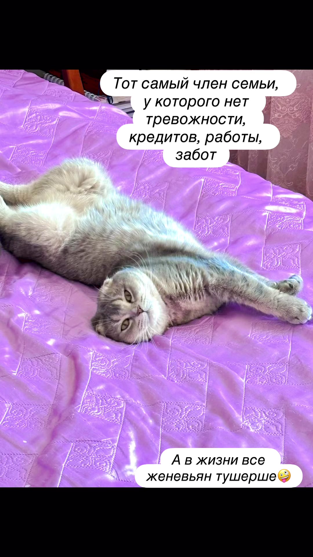 @Aniutik_relaxbody