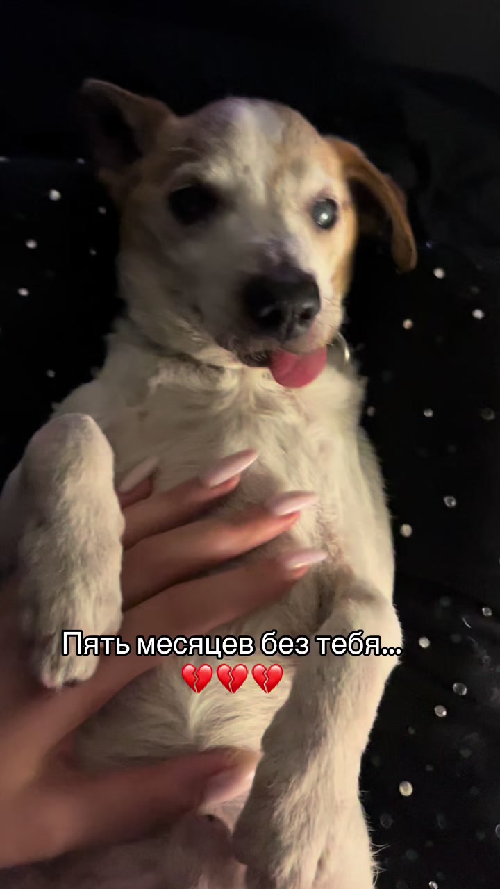 @J