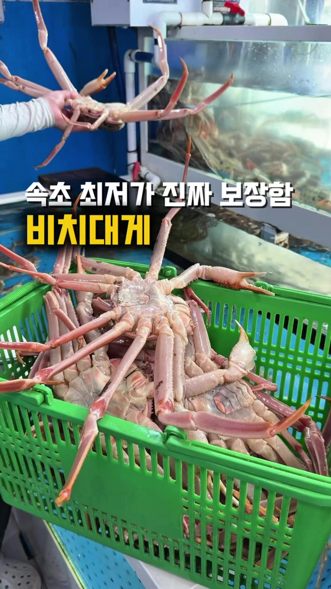 @jjongrrr
