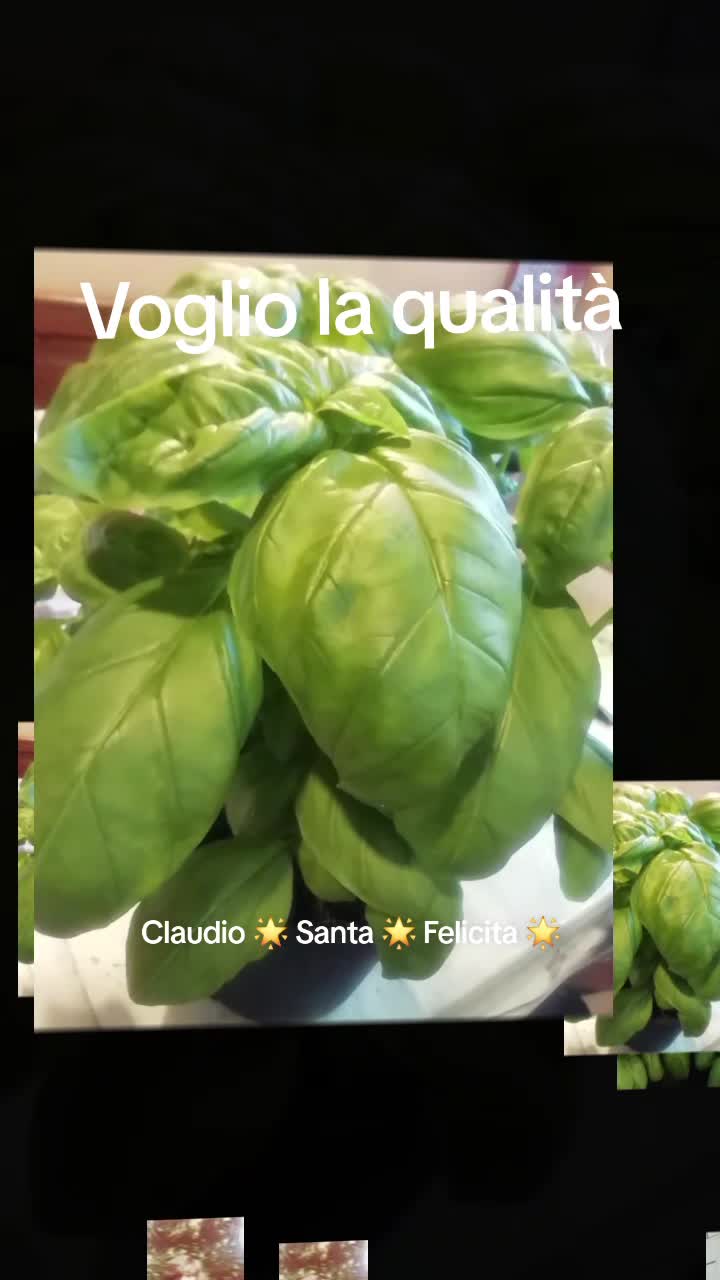 @Claudio Santa Felicita