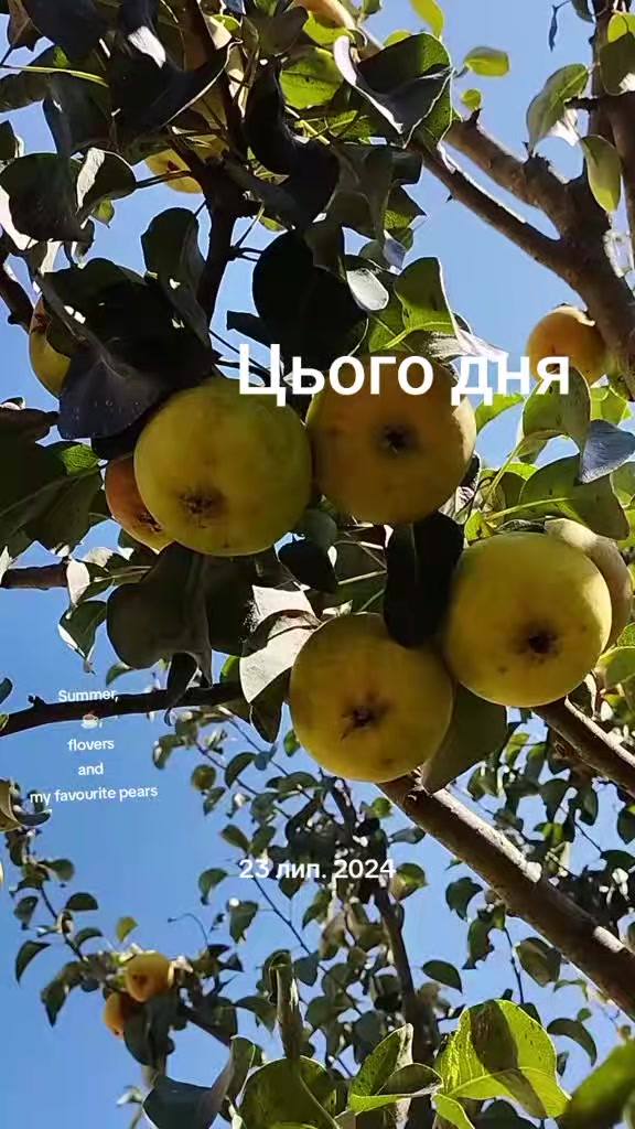 @YV