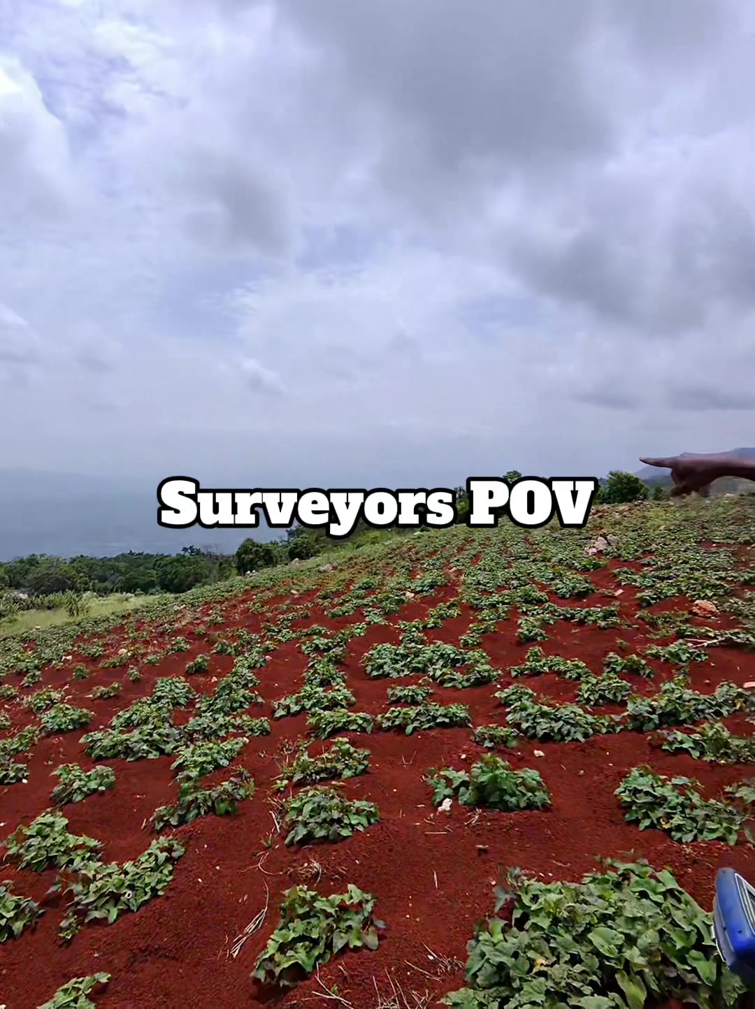 @jamaicasurveyors