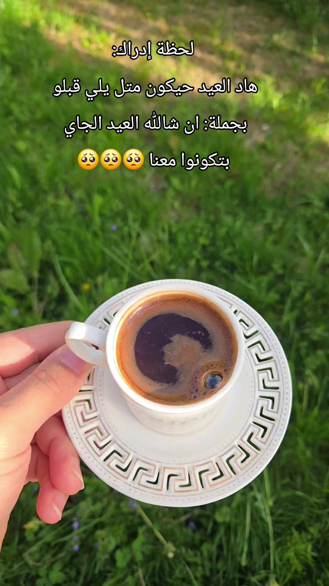 @Nour🌺🌸