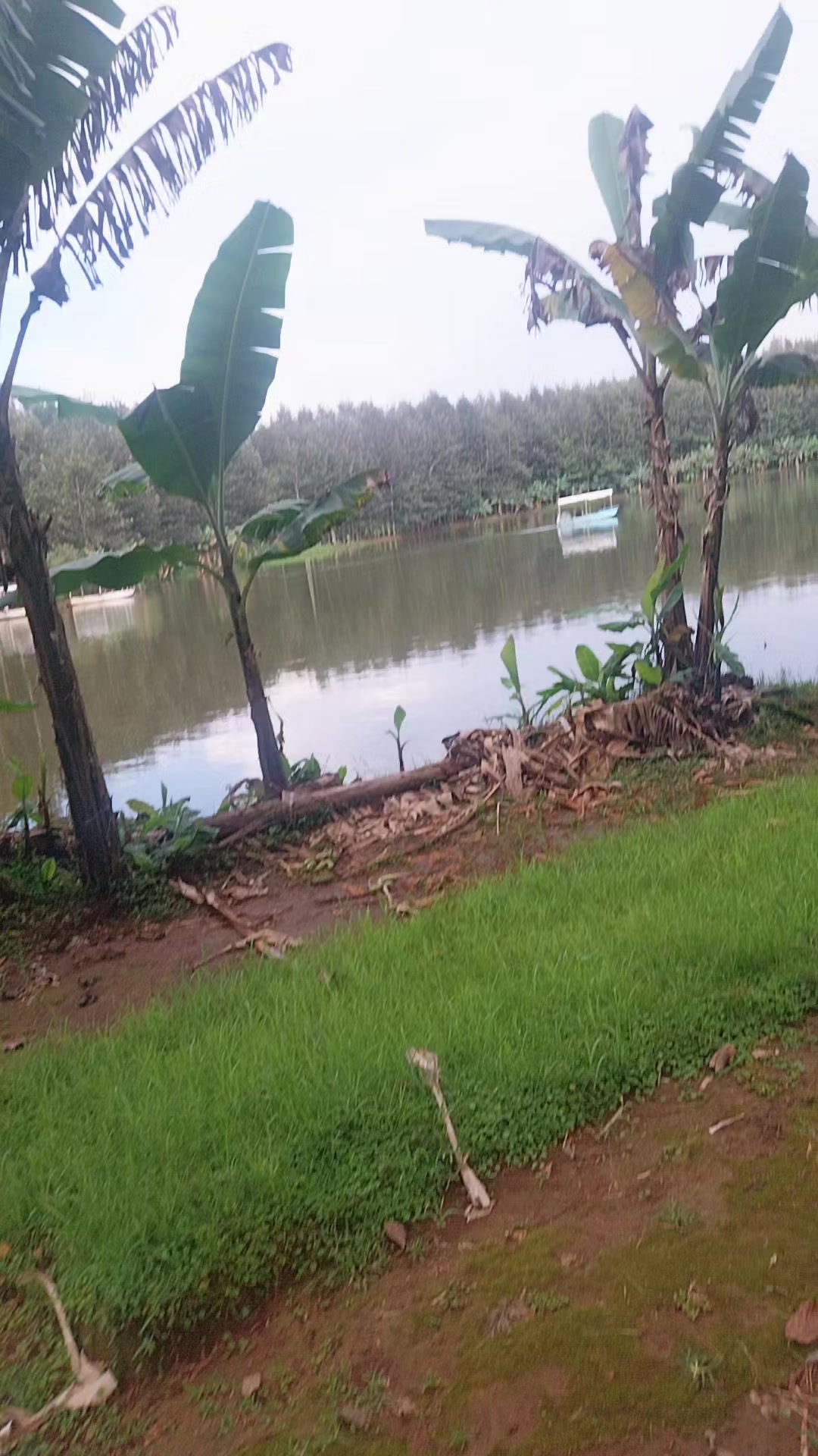 @beti gero