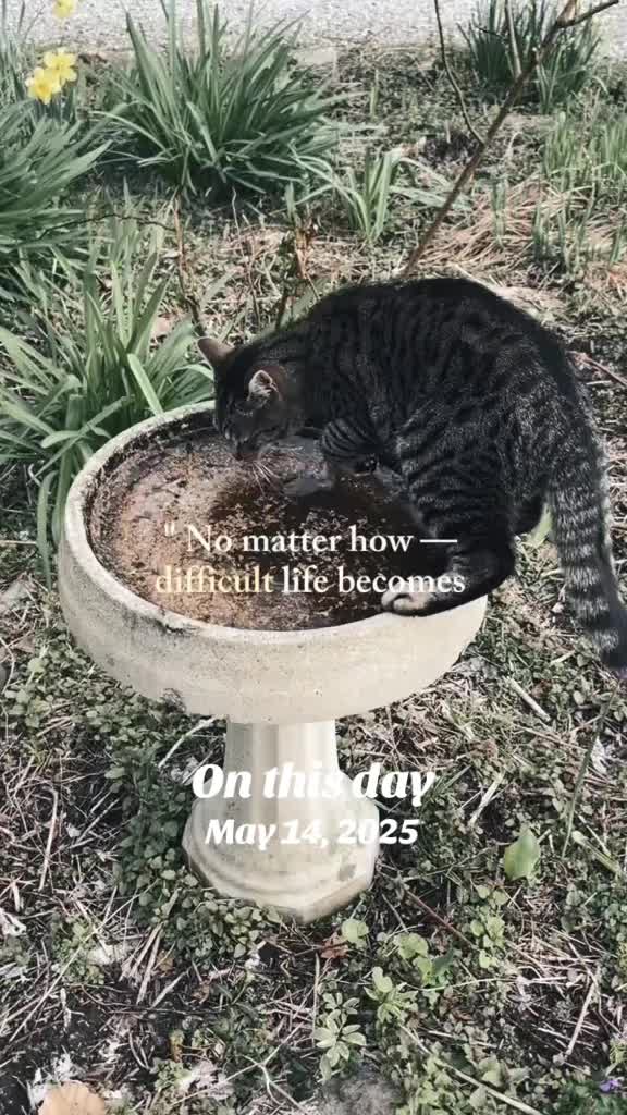 @MERCURY_GSD_24_7