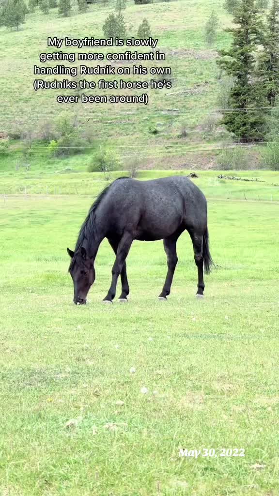 @Rudnik the Roan