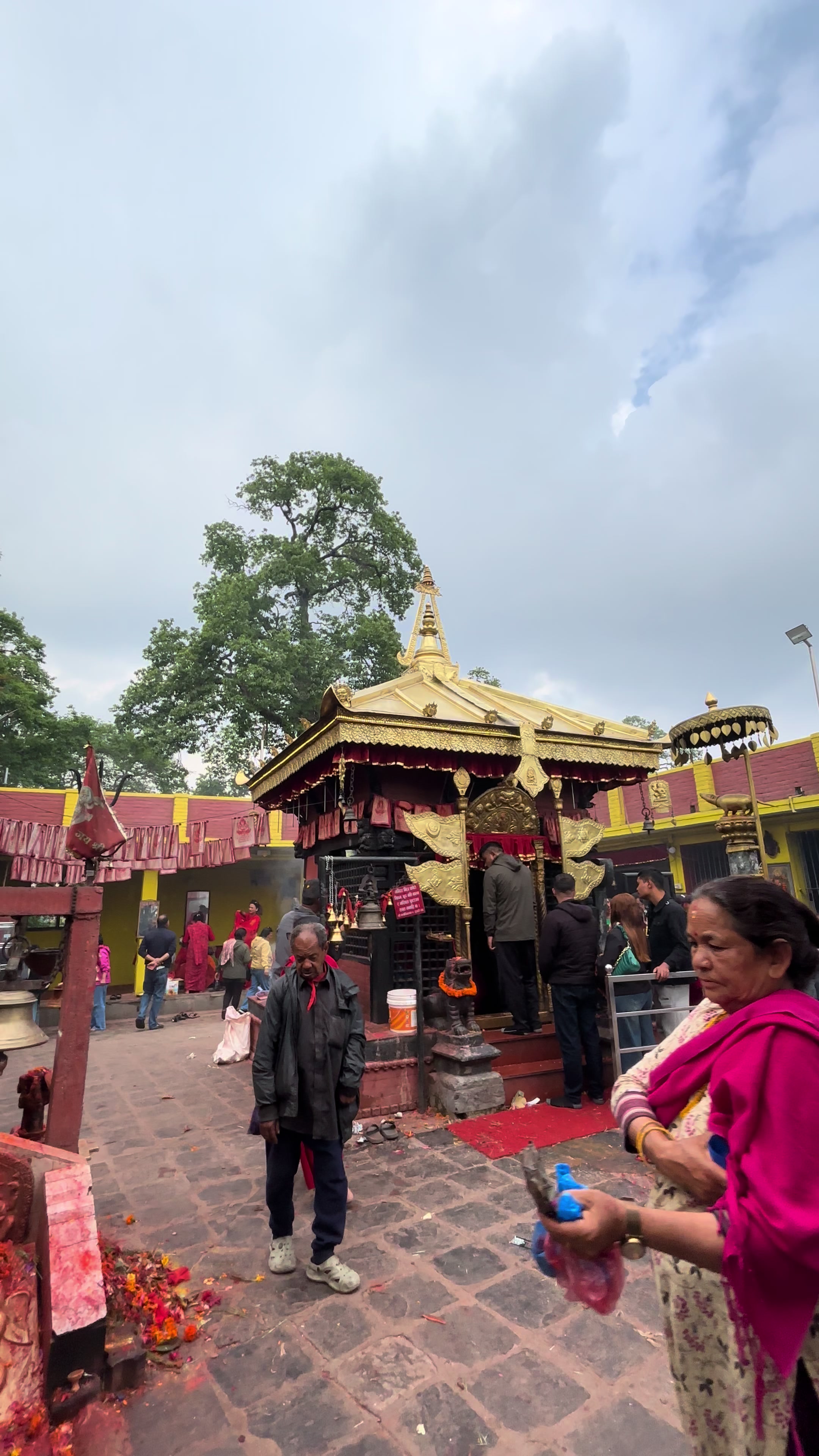 @jatra_fiesta