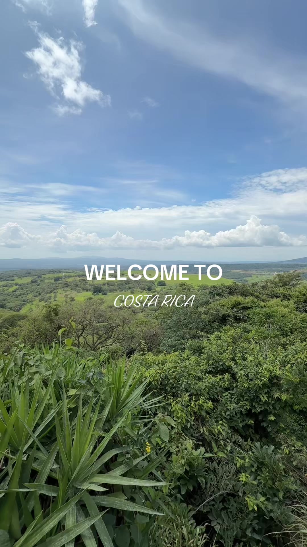 @The Costa Rica News