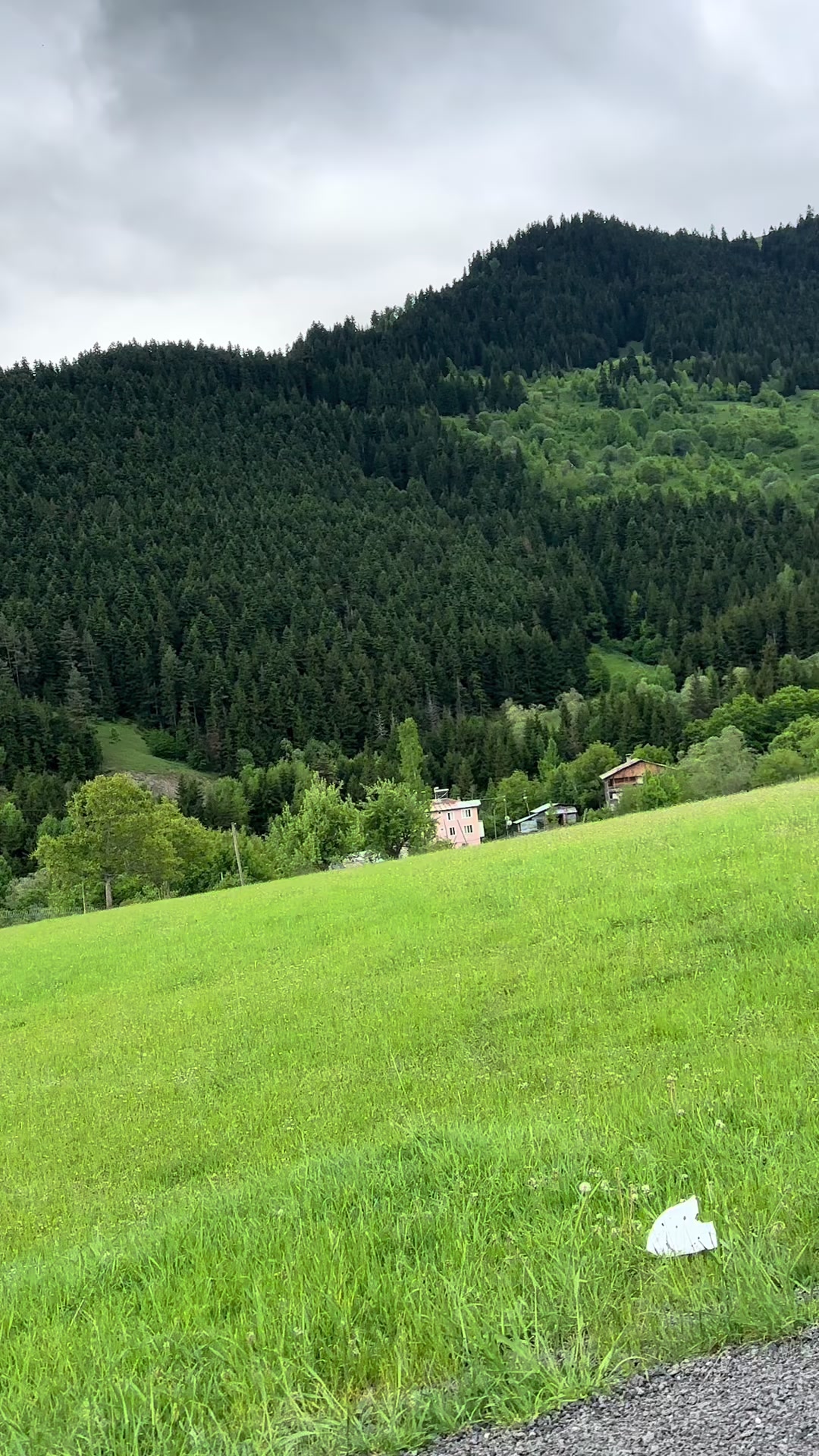 @nazodan_esintiler