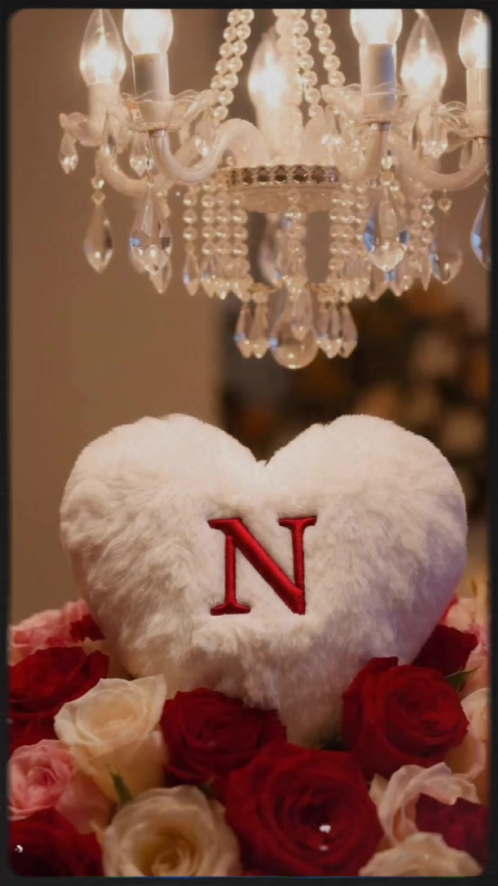 @TN 🌹🌹