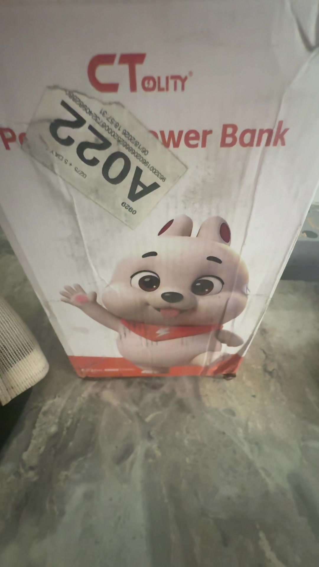 @Cat464