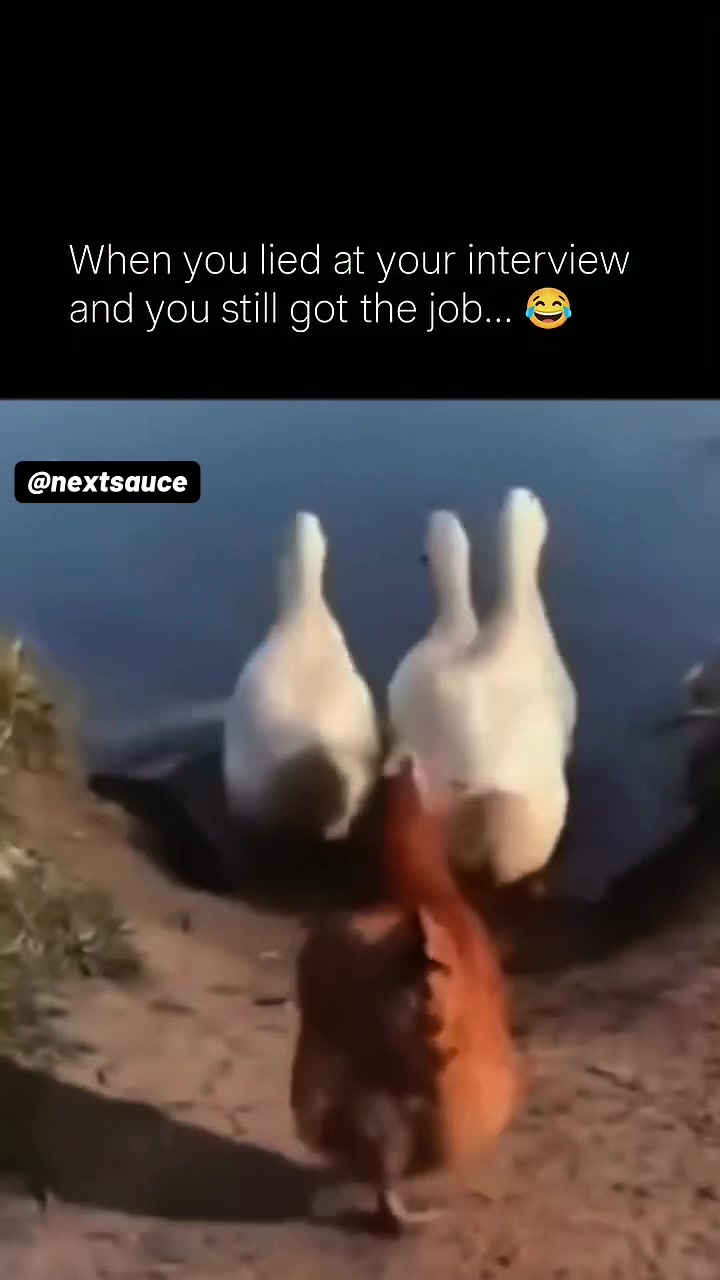 @NEXTSAUCE (ALL CONTENT)