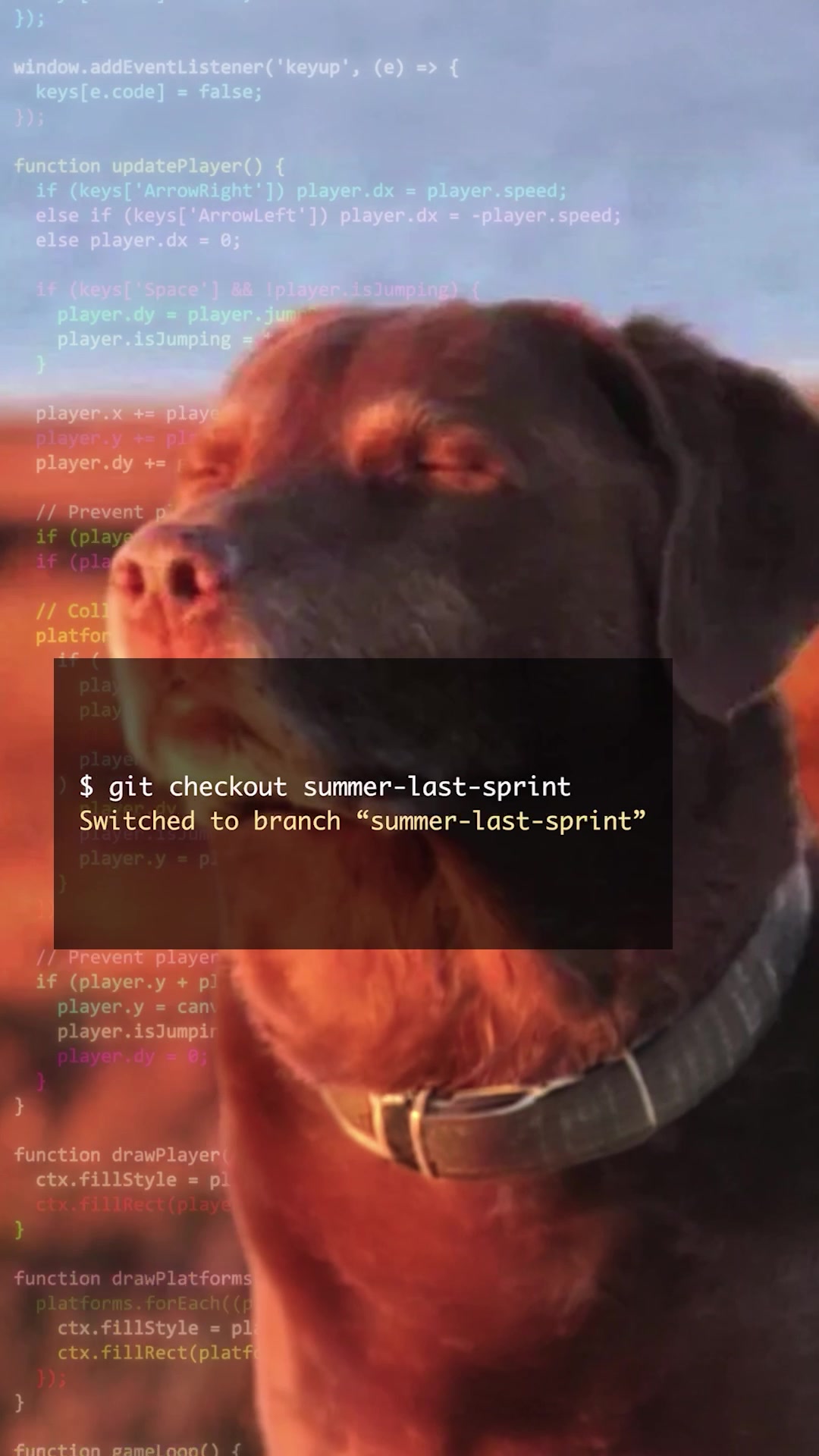 @Microsoft Developer