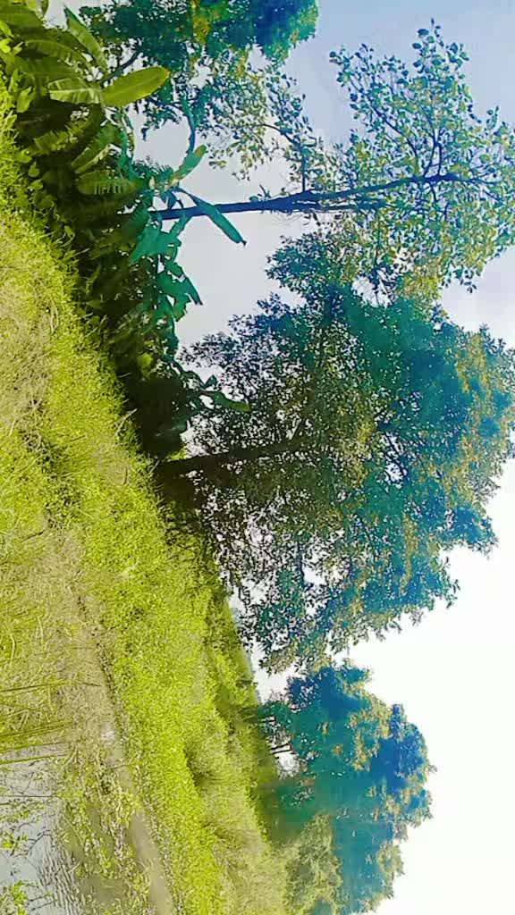 @✔︎✔︎✔︎🇽 🇦 🇵 🇷 🇮 ✔︎✔︎✔︎