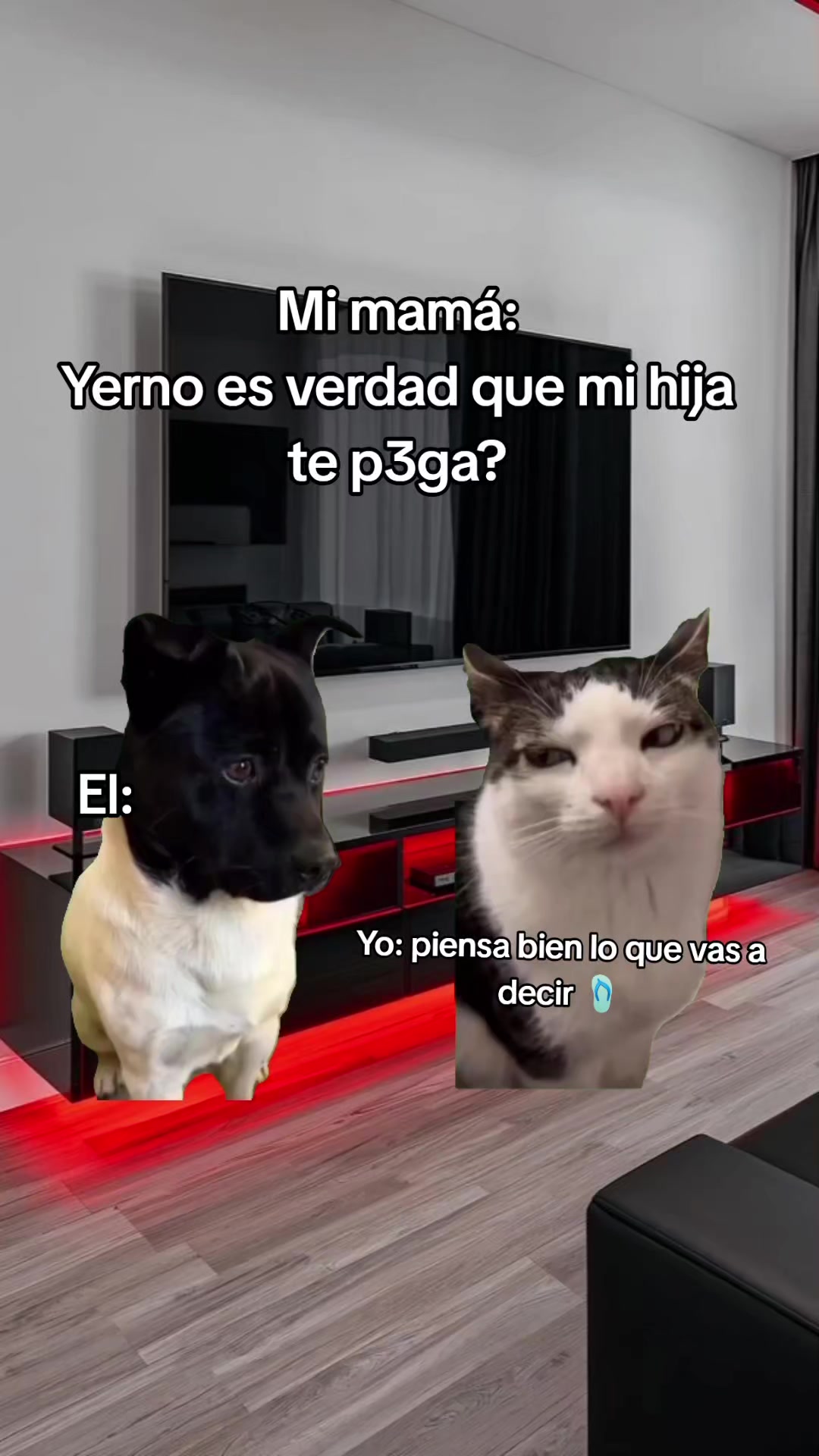 @ersa