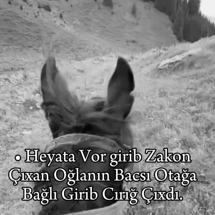 @🐻