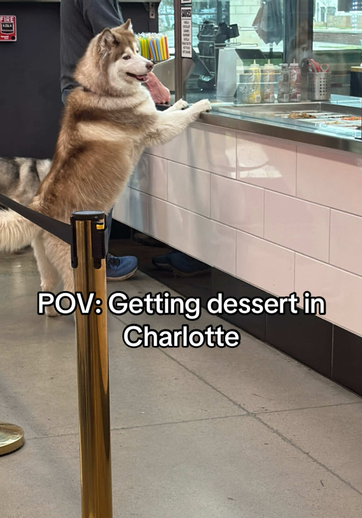 @Victoria| Charlotte Food & Fun
