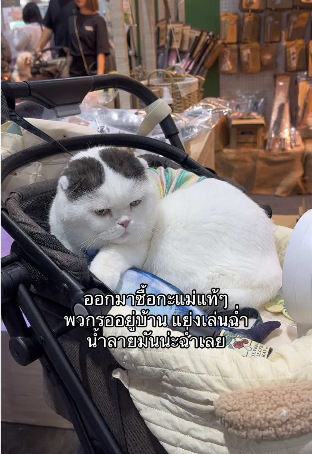 @เยอร์เก้นอยากเป็นดารา