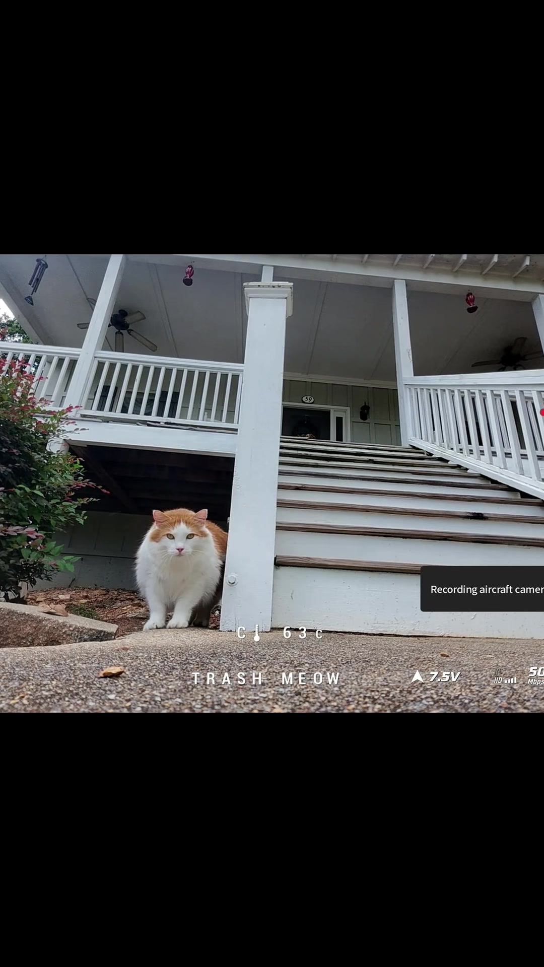 @TrashCatFPV