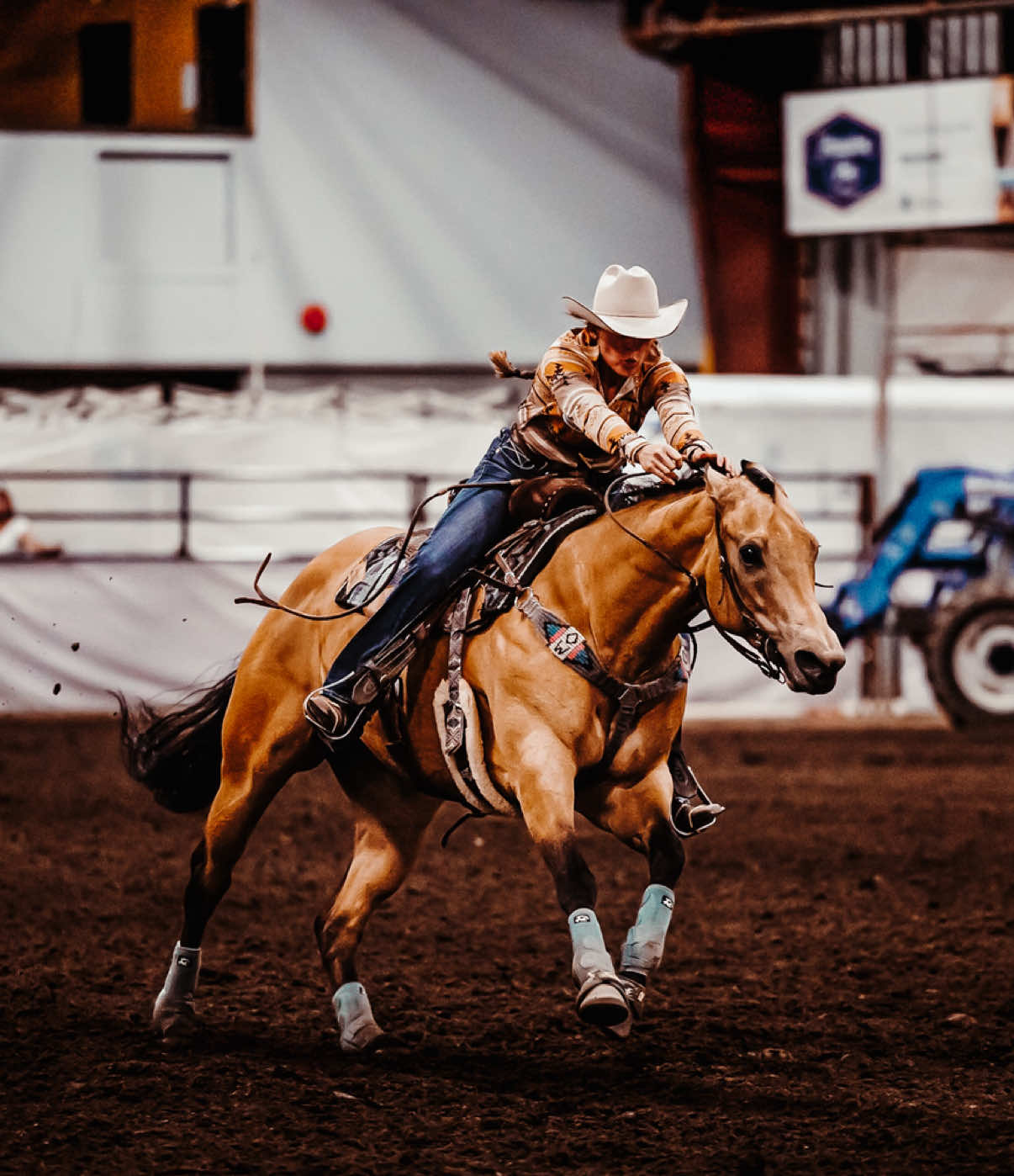 @Diamond W Barrel Horses 🇨🇦