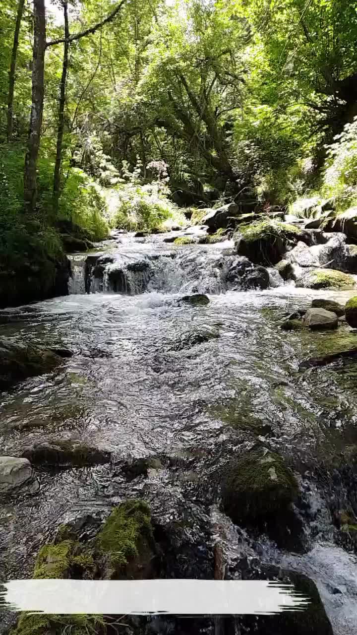 @Dil Dosti Duniyadari