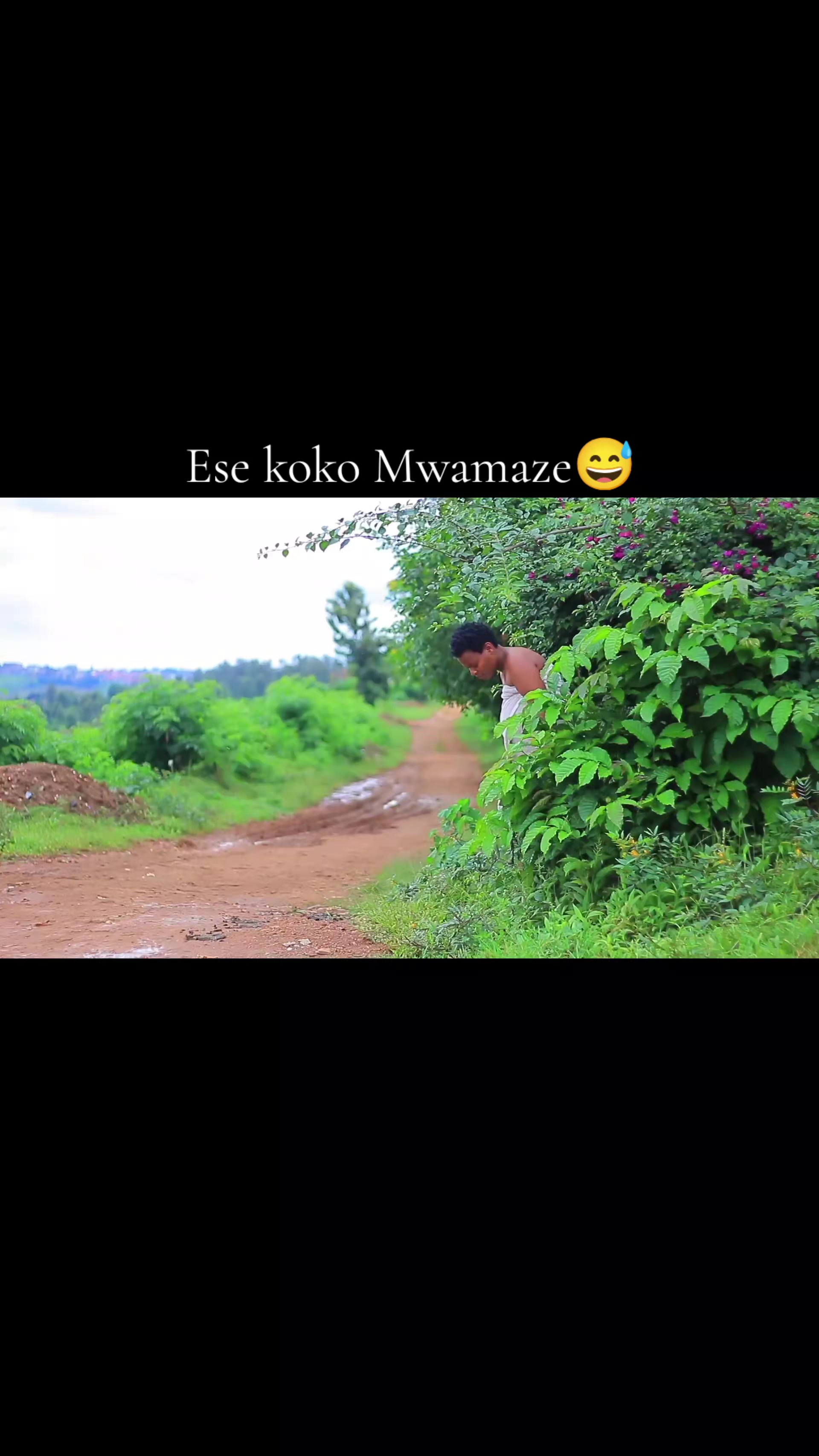 @ibishegu vya bayari