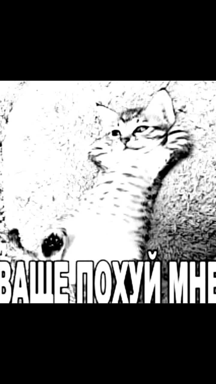 @киса. 🏴 اللعين واحد )))