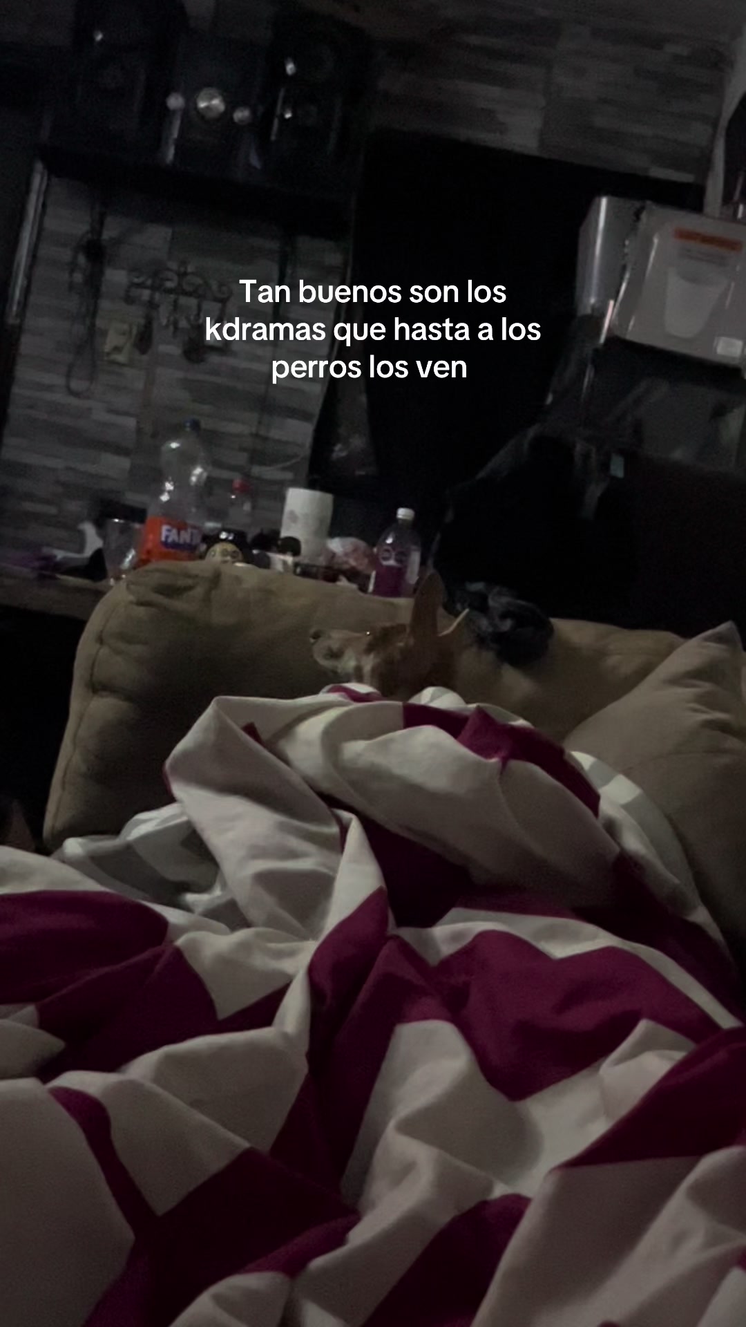@parra.dlx