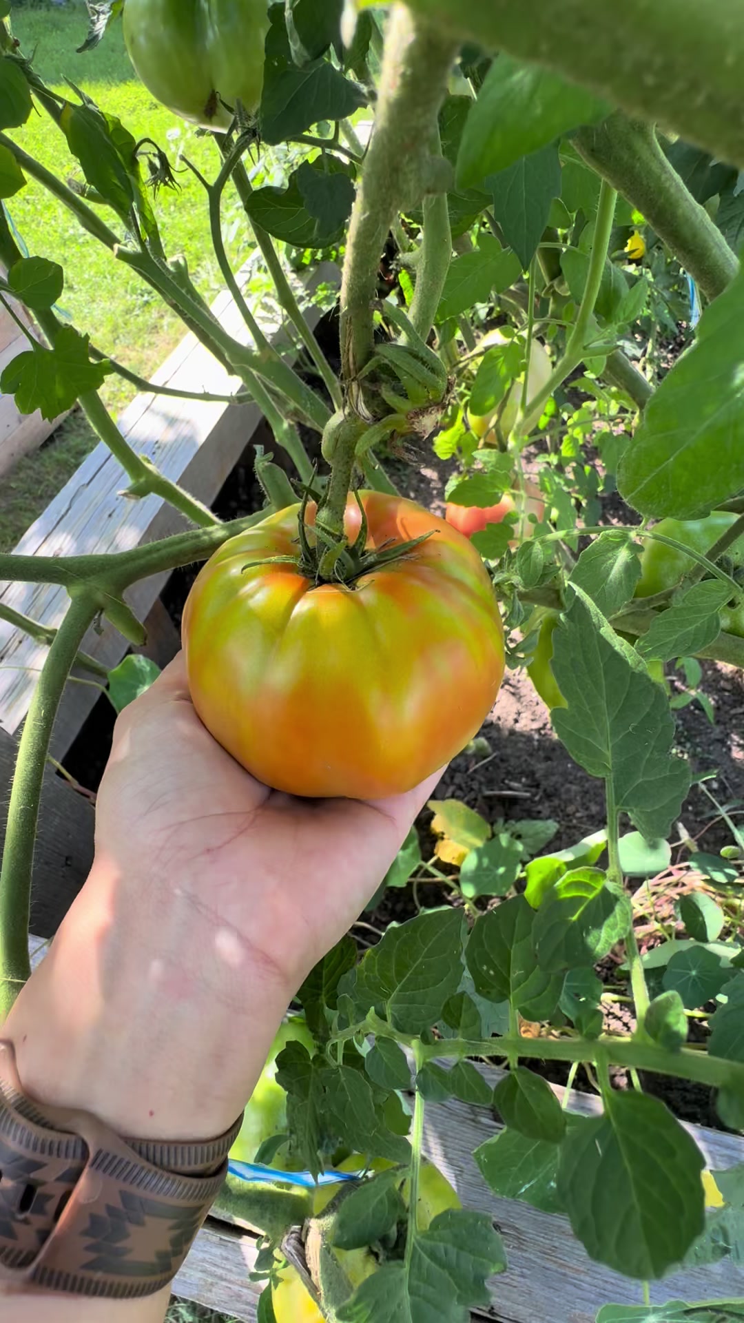 @SaraRNAtHappyFunMicroOrchard