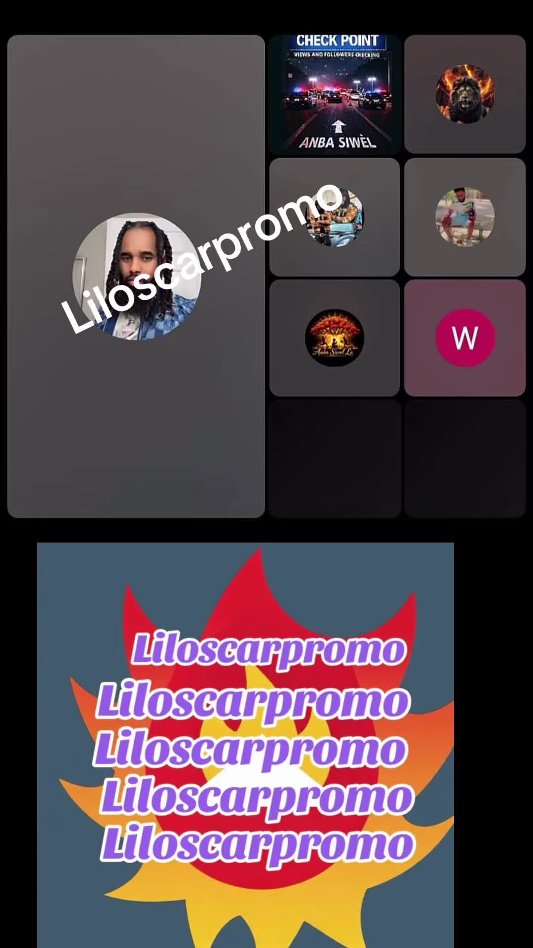 @Liloscarpromo