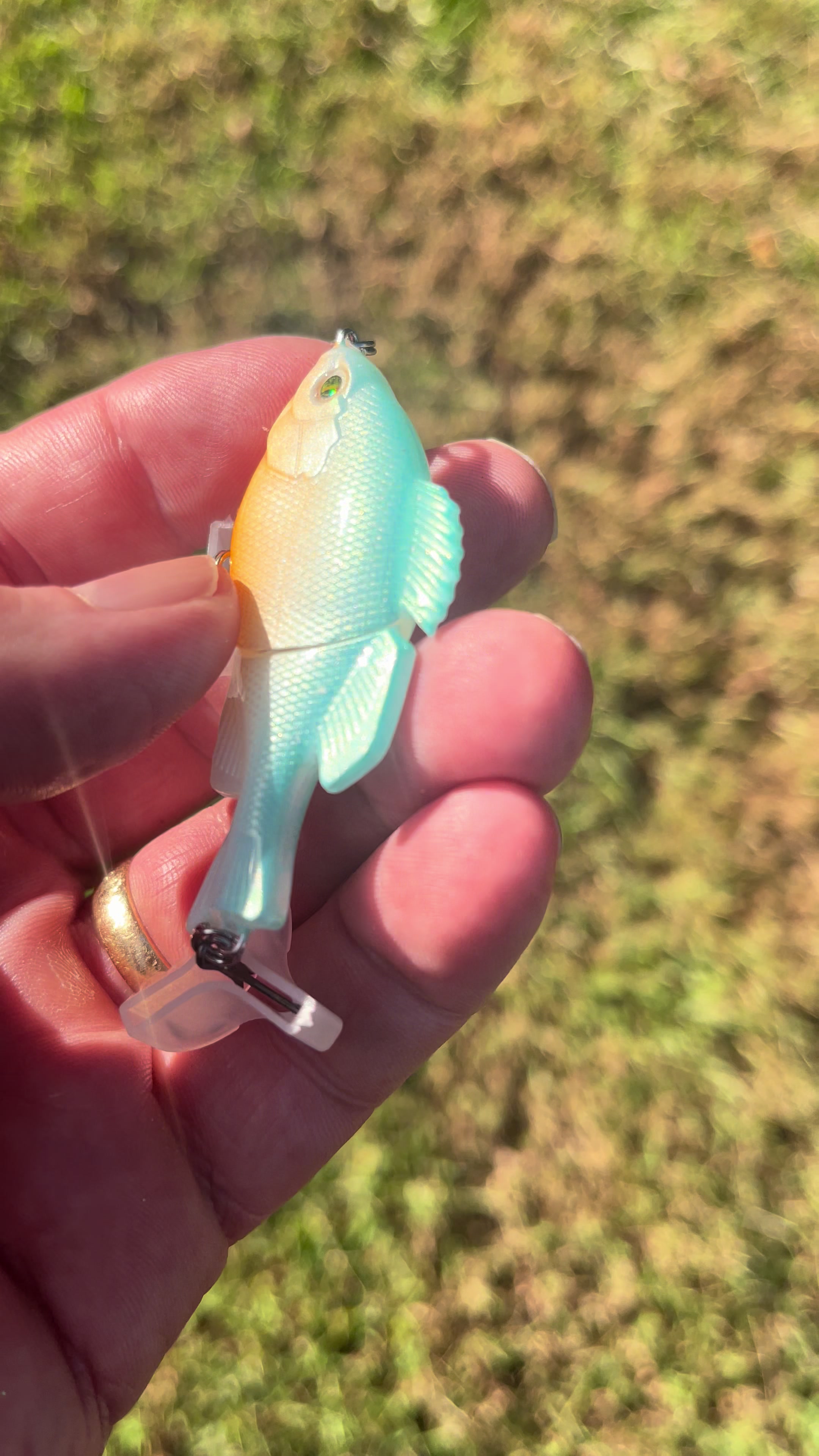 @Walshhog_Custom_Baits