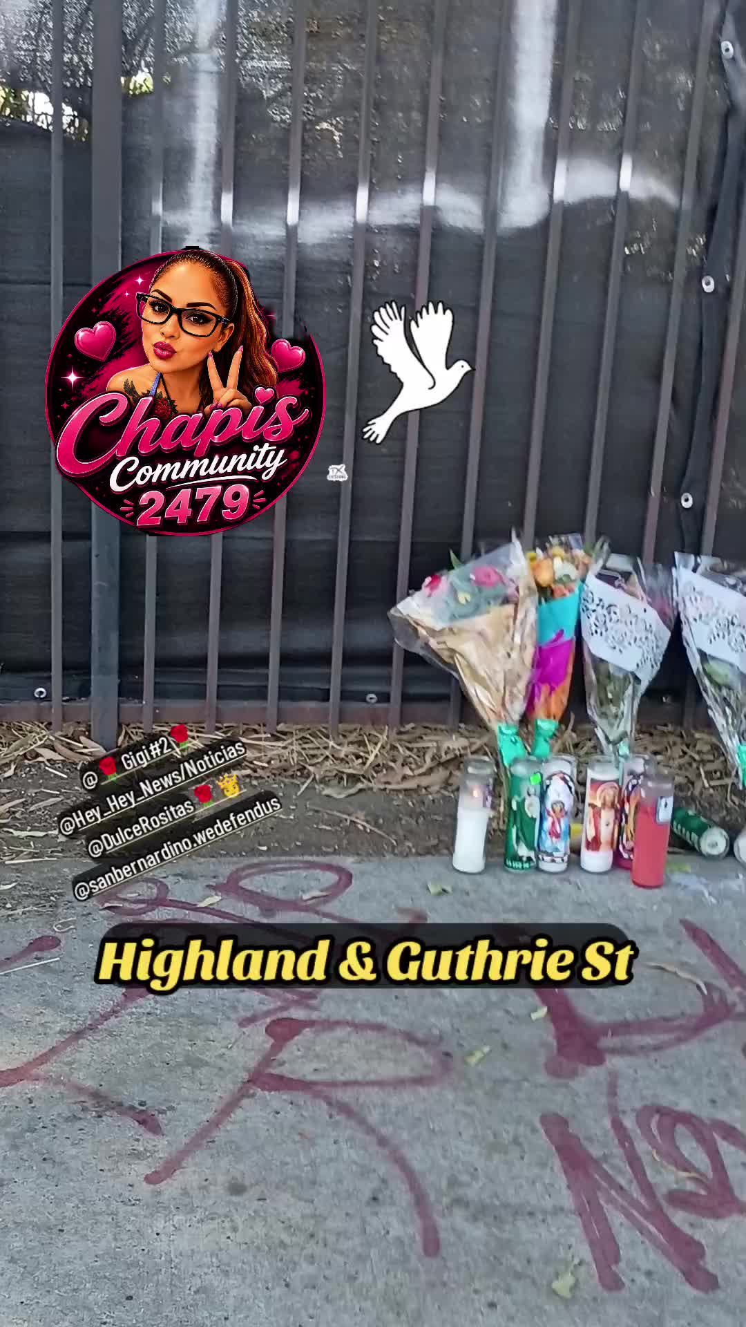 @chapis2479