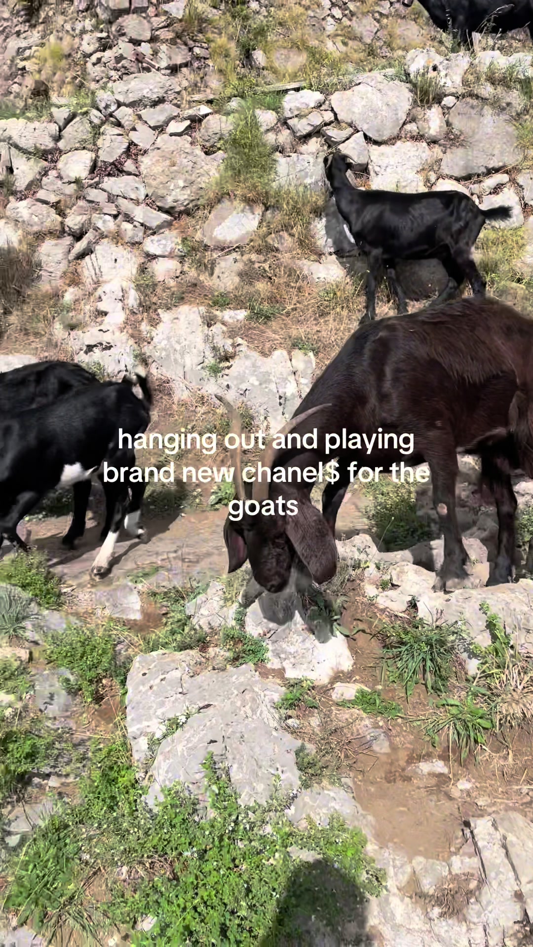 @^-^