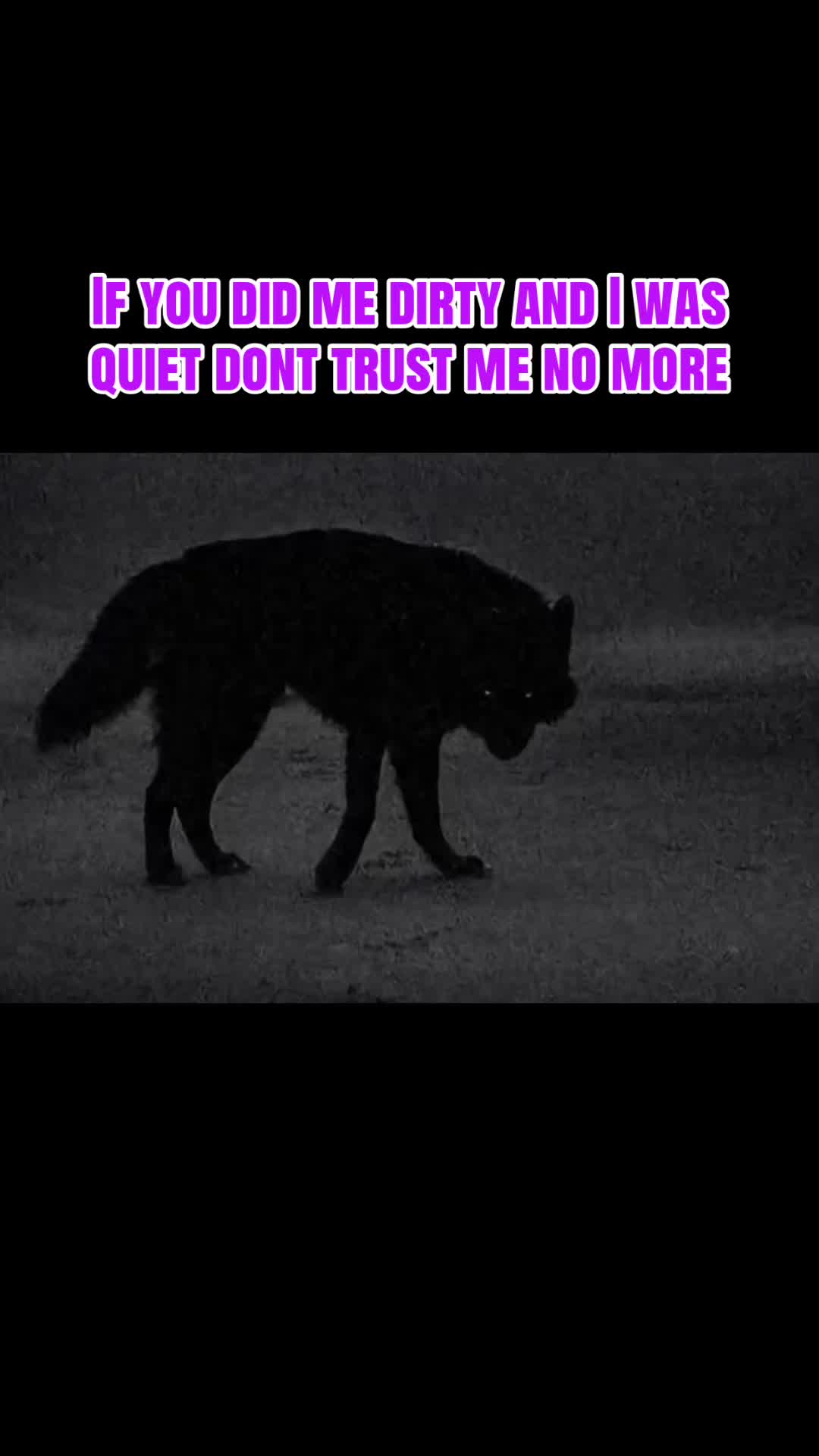 @Dead_Rose_Society