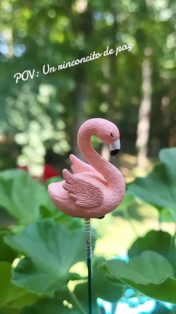 @doly.dfn