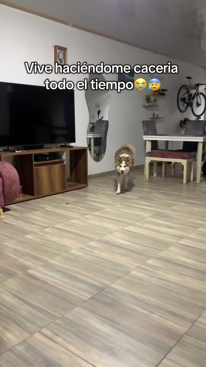 @Alan