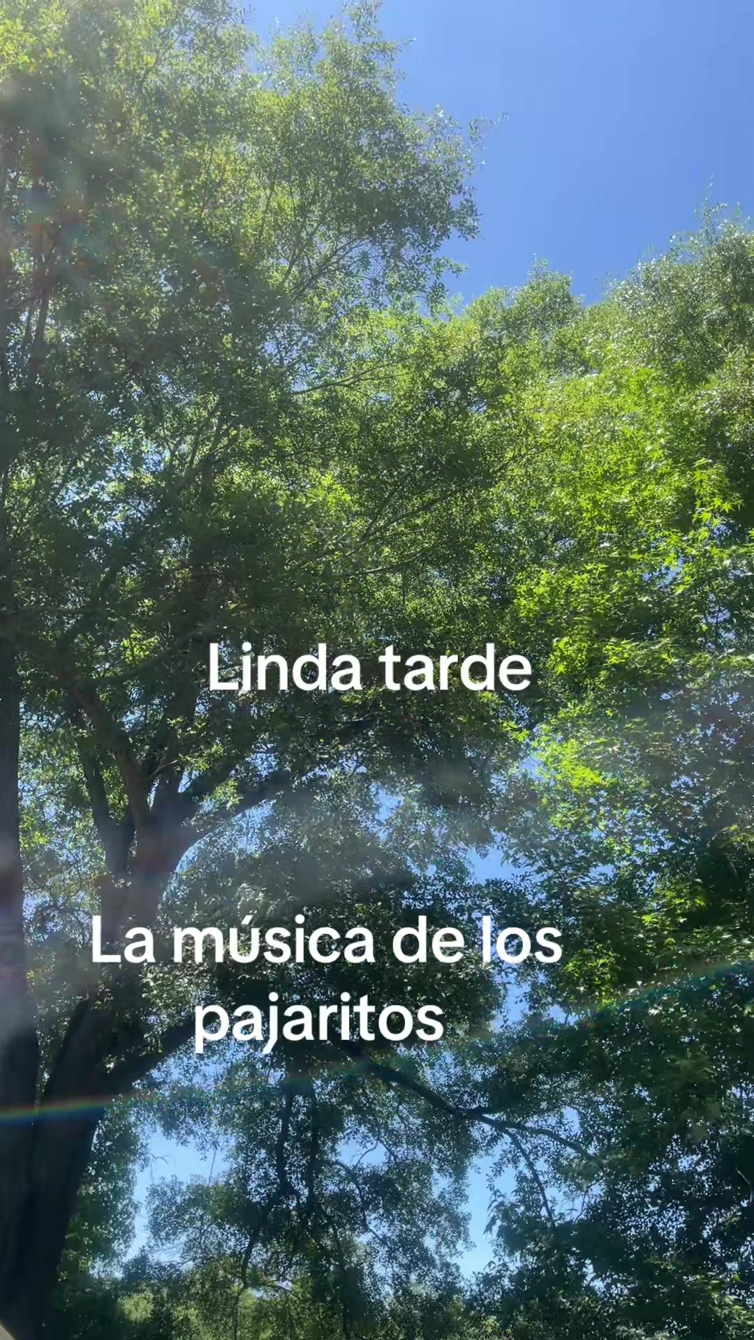 @Dolores Chandilla