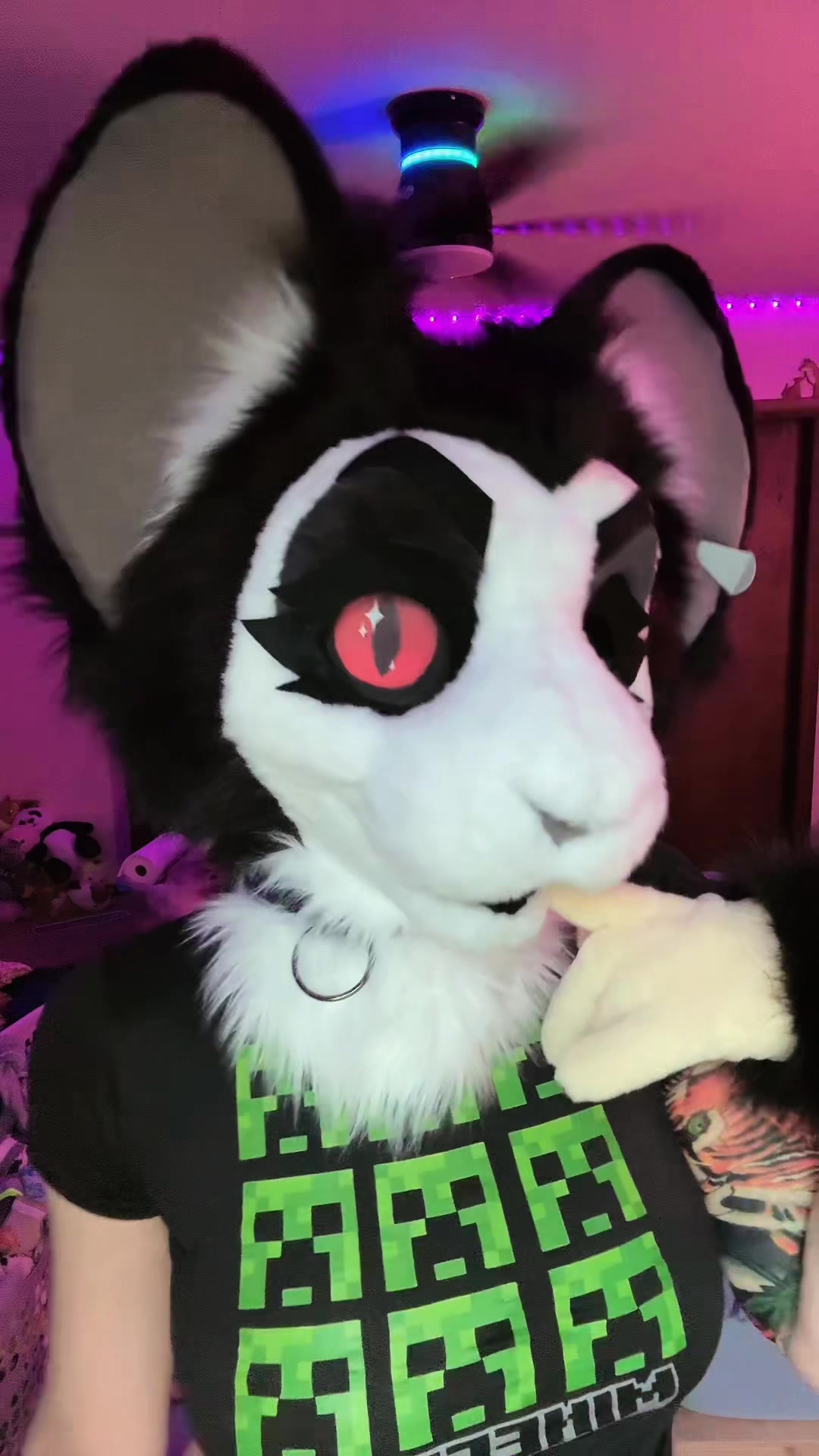 @🎀🦊Foxii🦊🎀