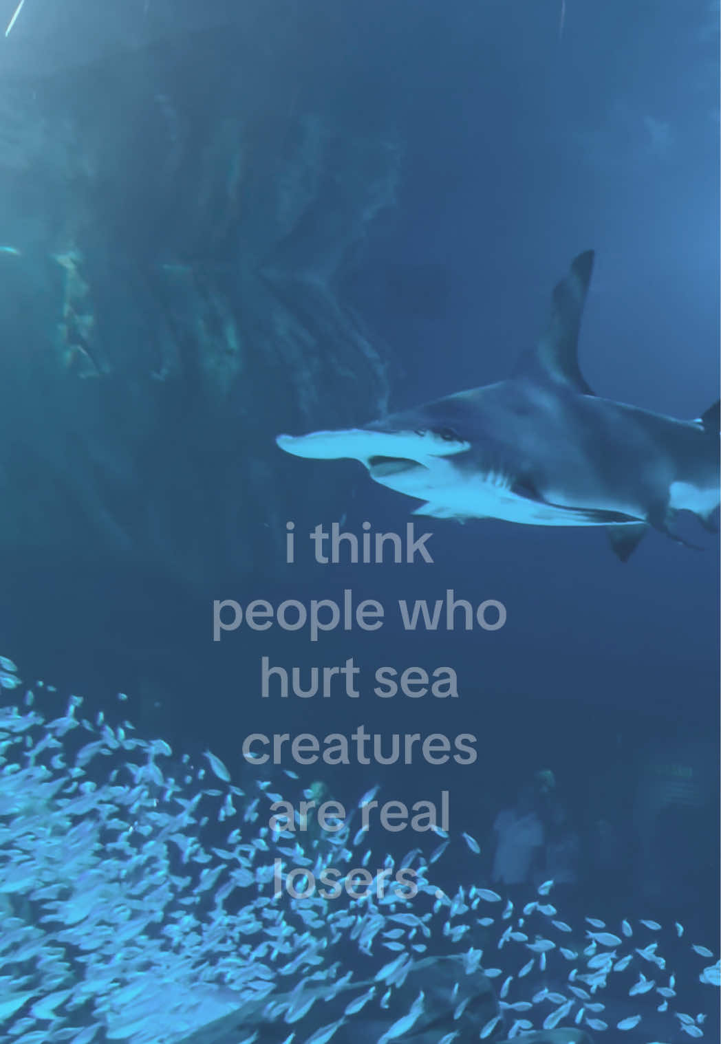 @꒰ ⛈️🌪️ ა grave 🦈 .ᐟ 🪐🔭 ₊