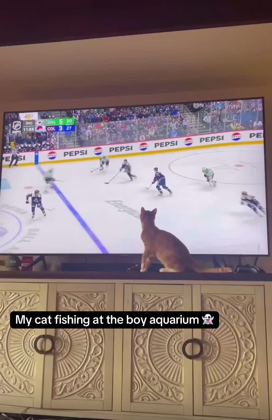 @DooDooCAT