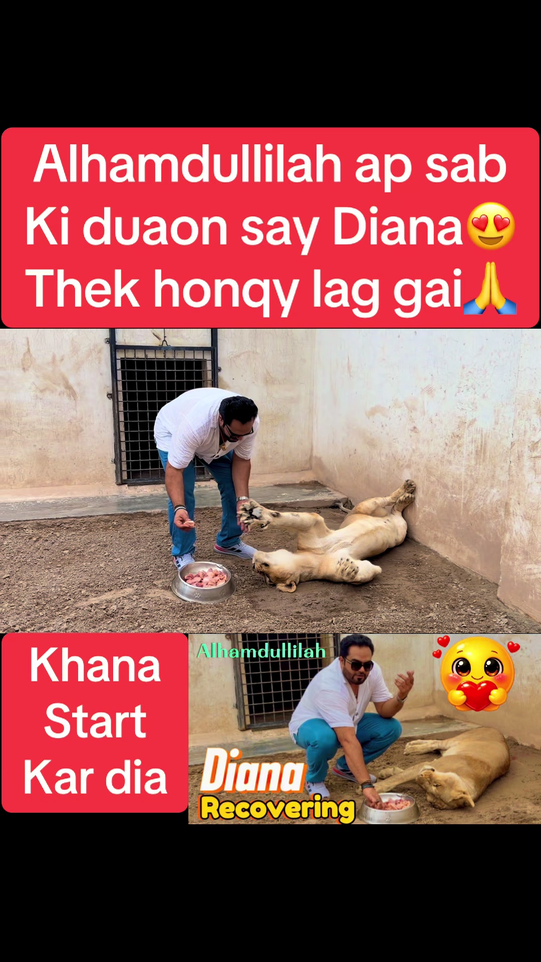 @Mian saqib