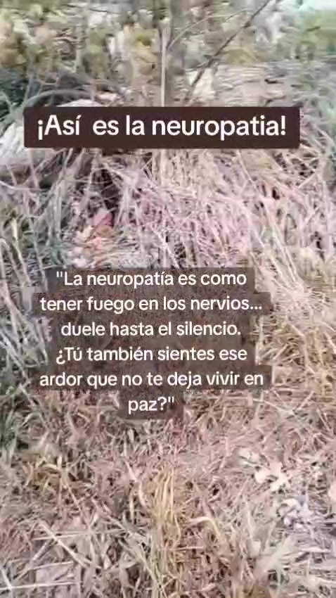 @Elizabeth Barraza