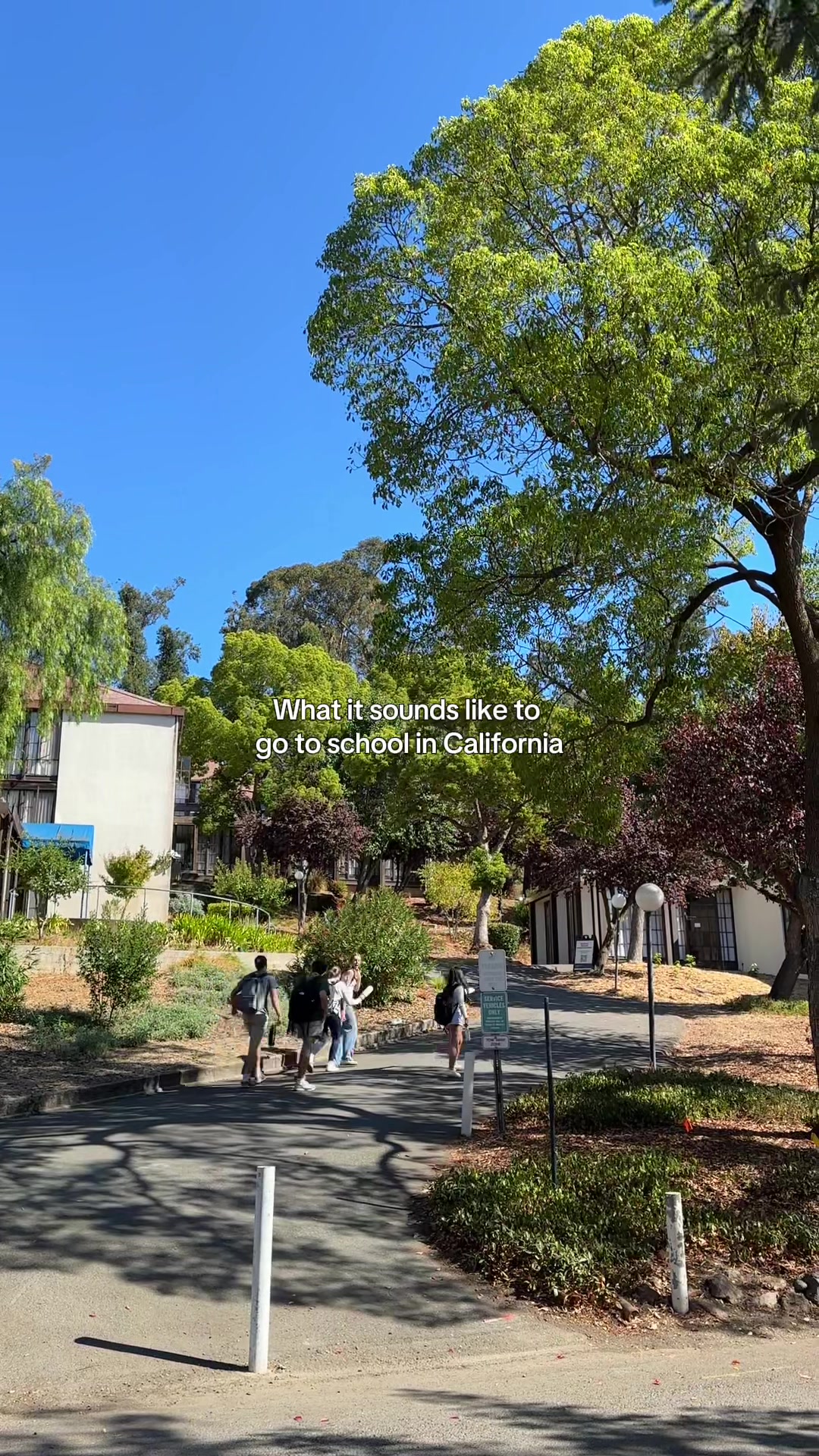 @nuoakland