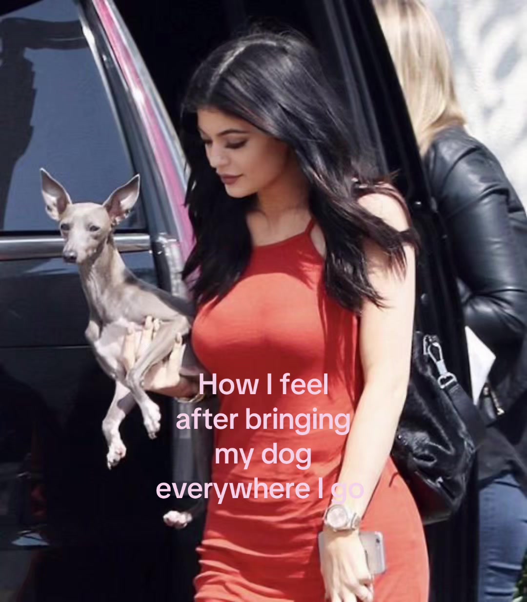 @𝓟𝓡𝓙𝓝𝓒𝓔𝓢𝓢