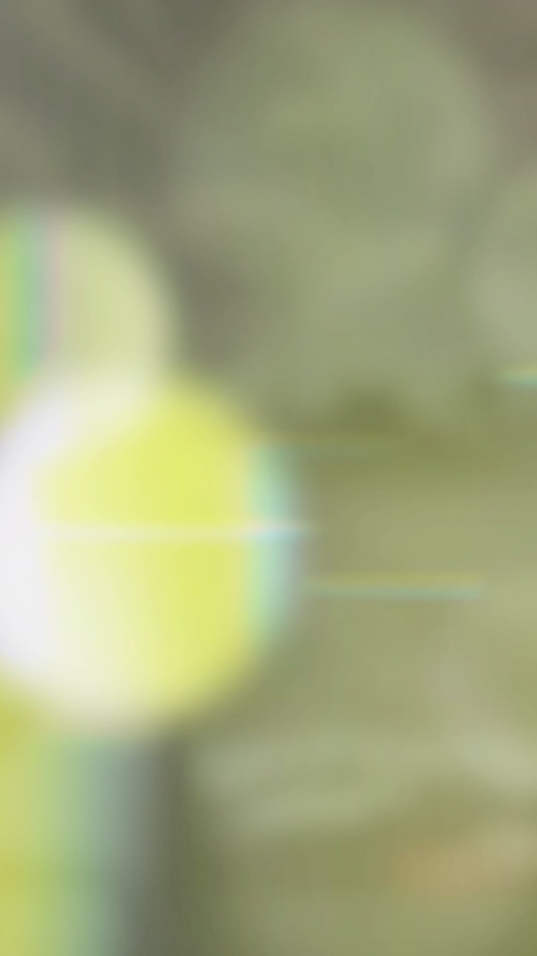 @King_Ghost👻