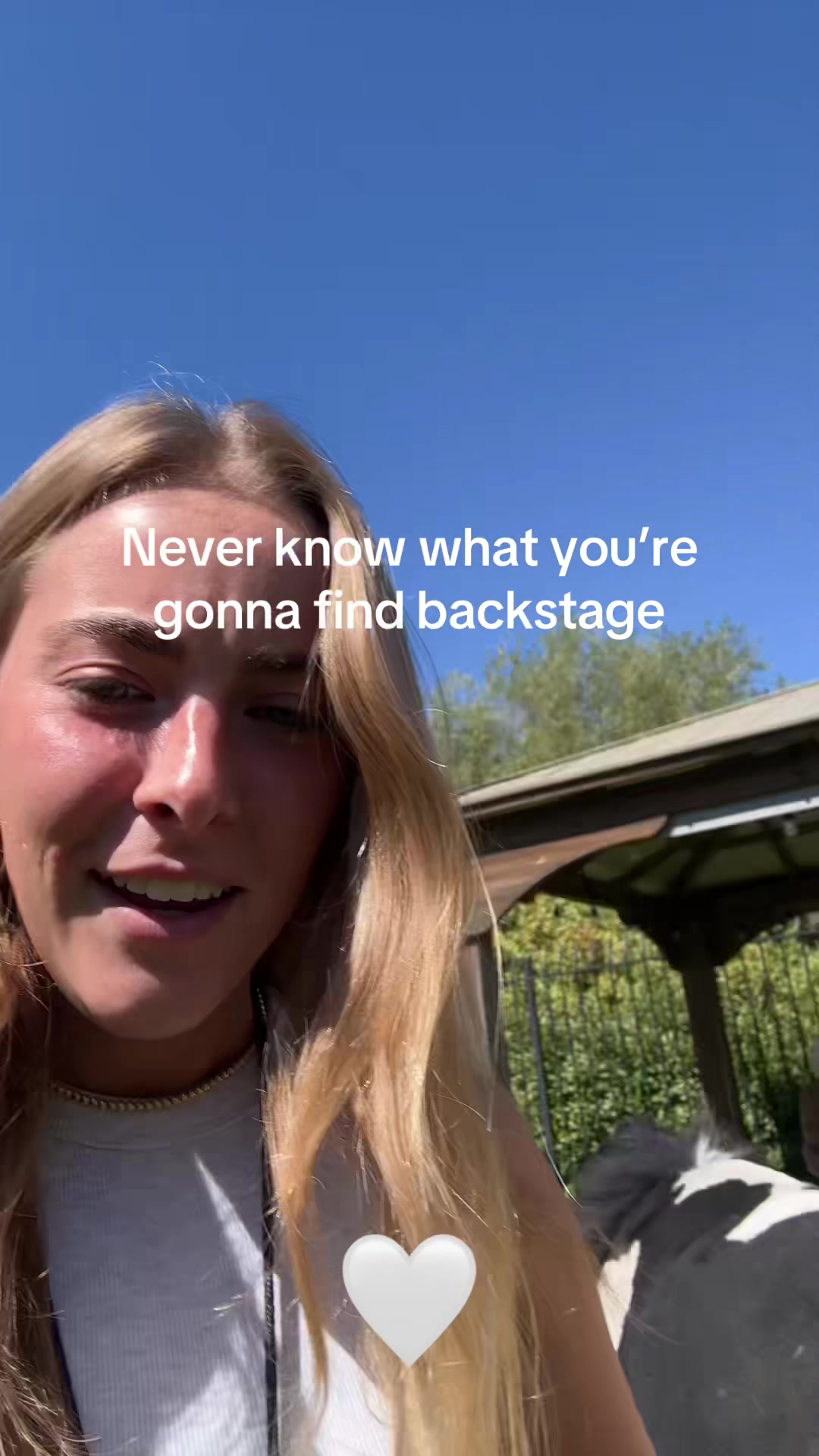 @ameliagtaylor